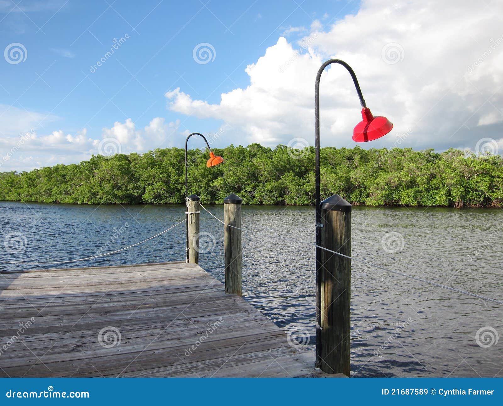 Old Wooden Boat Dock In Naples Florida Royalty Free Stock Images 