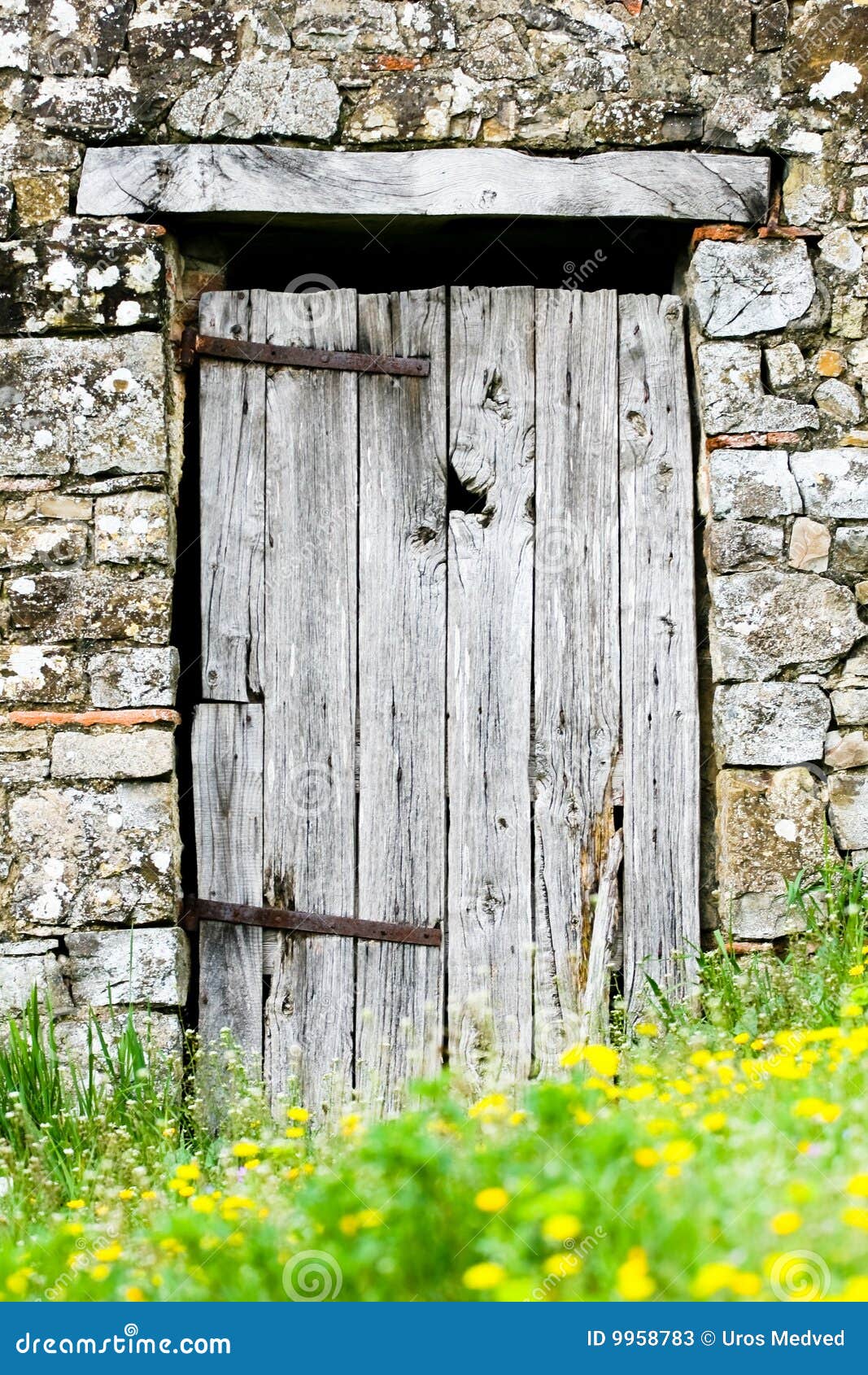 old wooden door 9958783