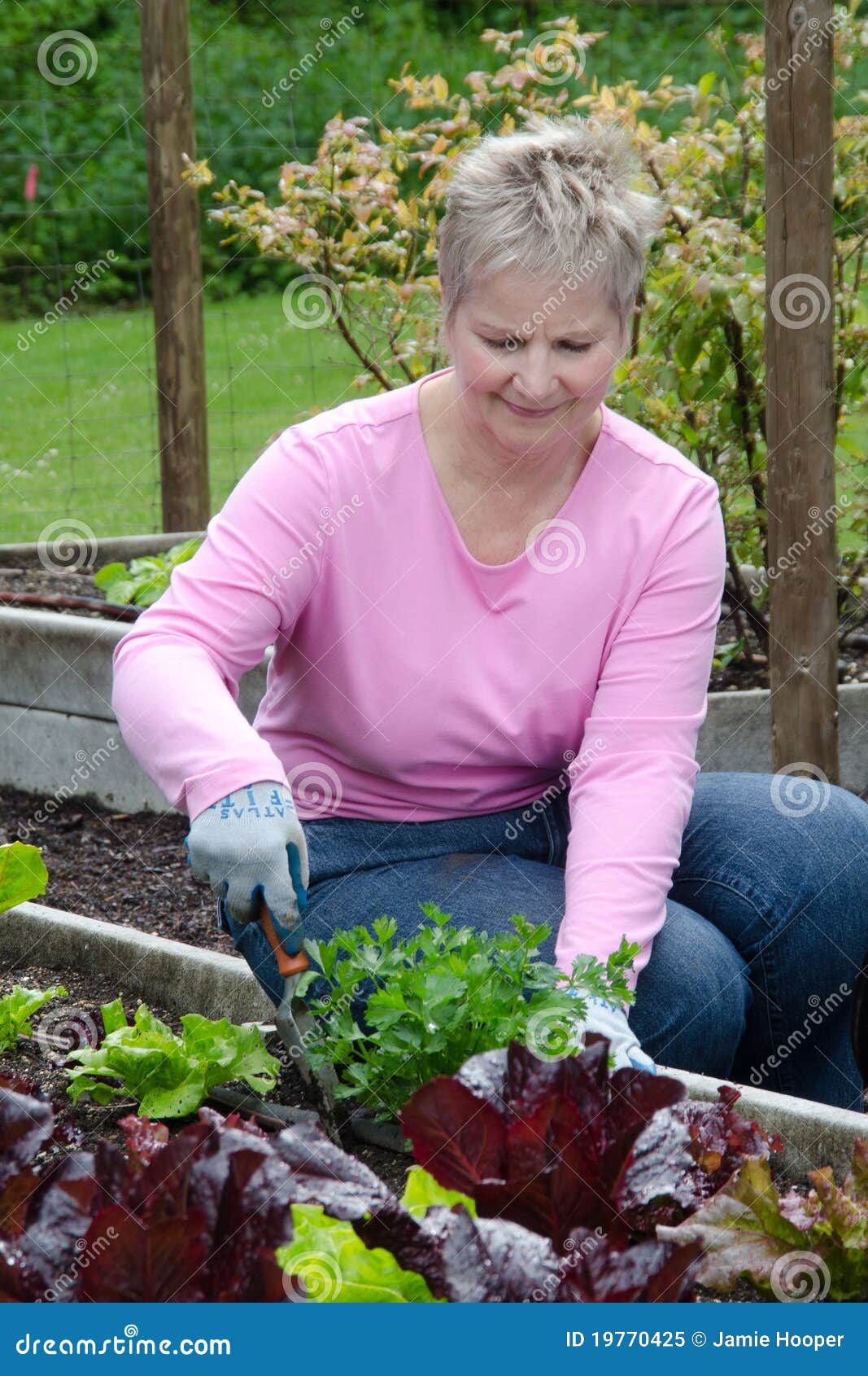 Older Woman Gardenin
