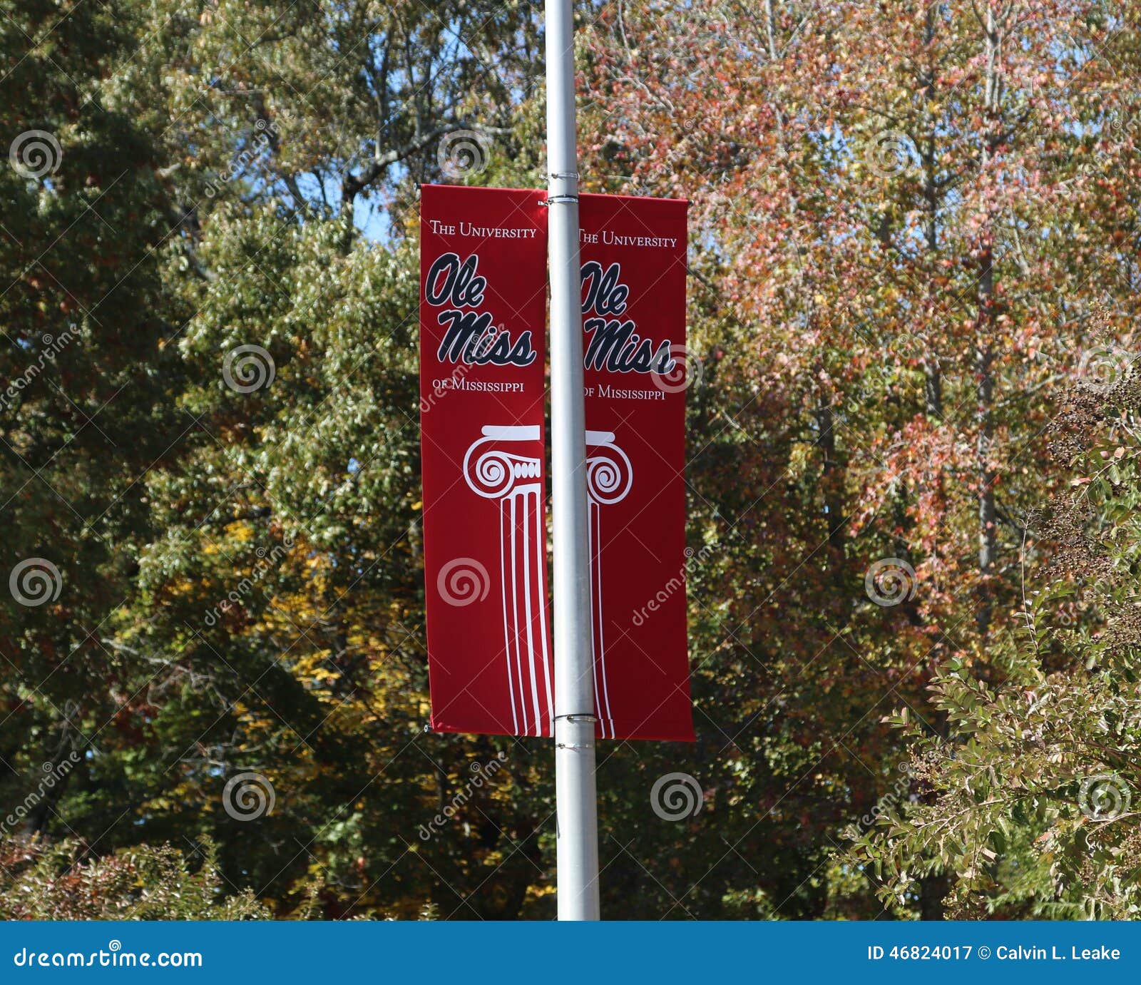Web Design I Ole Miss Web Design I Ole Miss