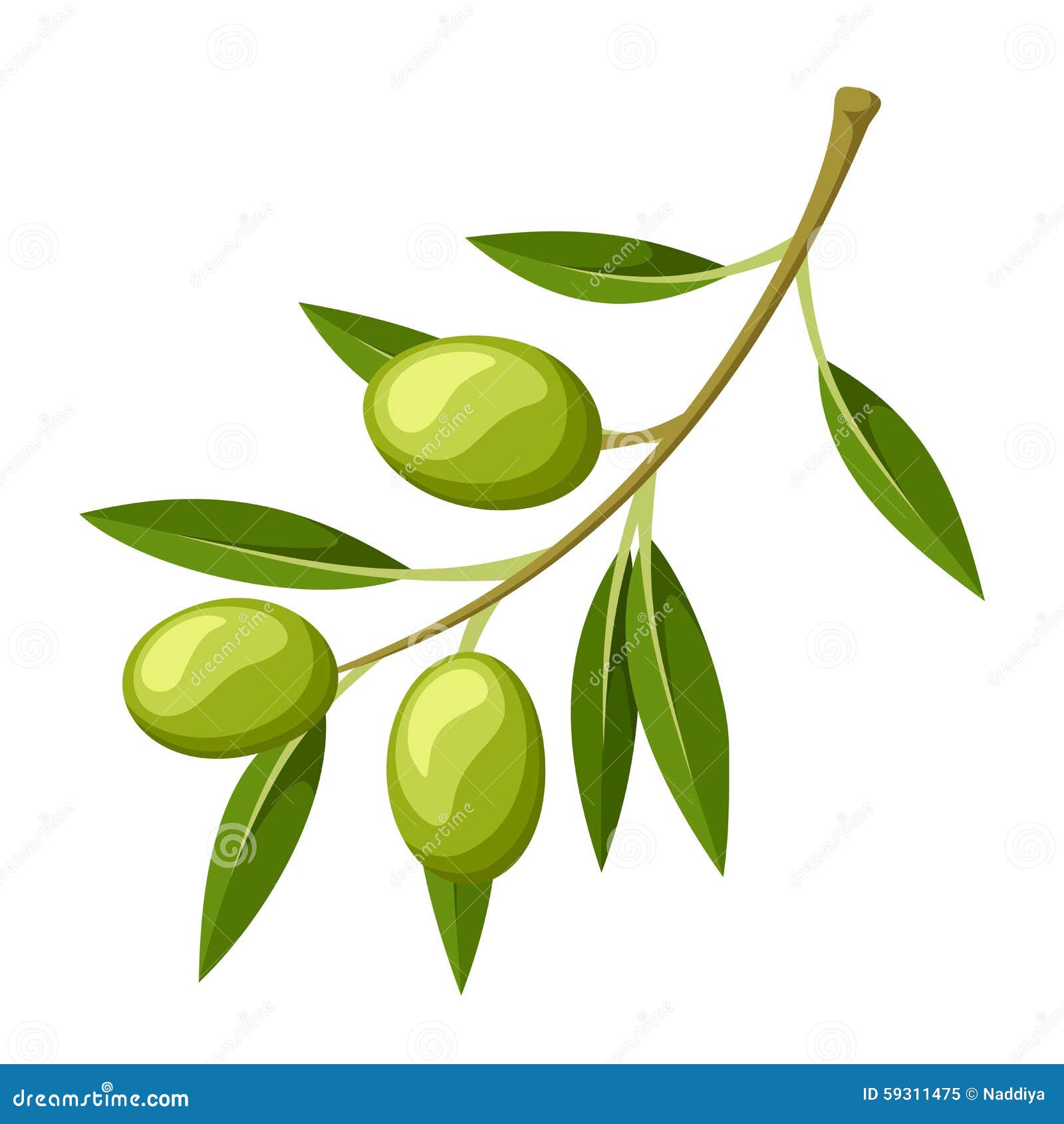 Olive Branch. Vector Illustration. Stock Vector - Image: 59311475