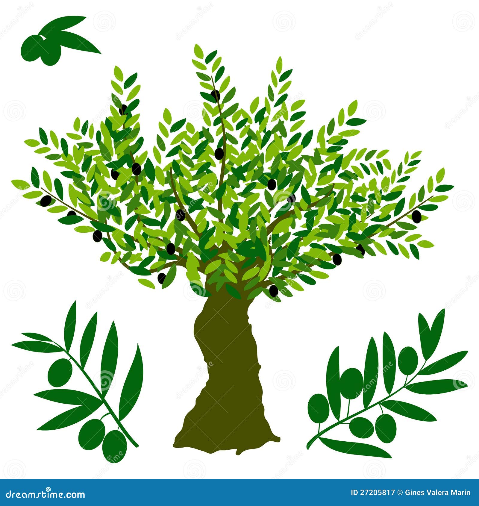 olive tree clip art images - photo #9