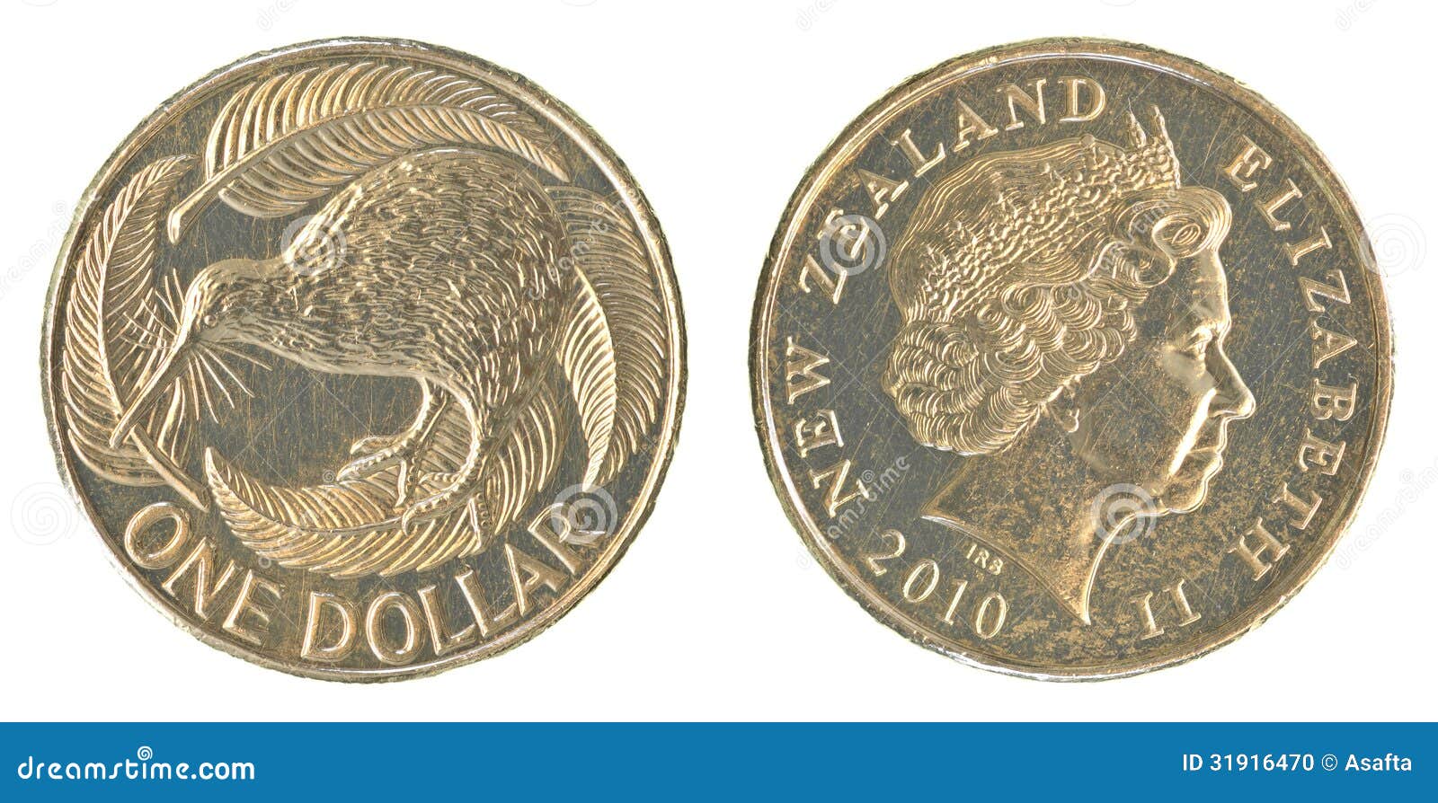 One New Zealand Dollar Coin Stock Photo Image 31916470 one-new-zealand-dollar-coin-stock-photo-image-31916470