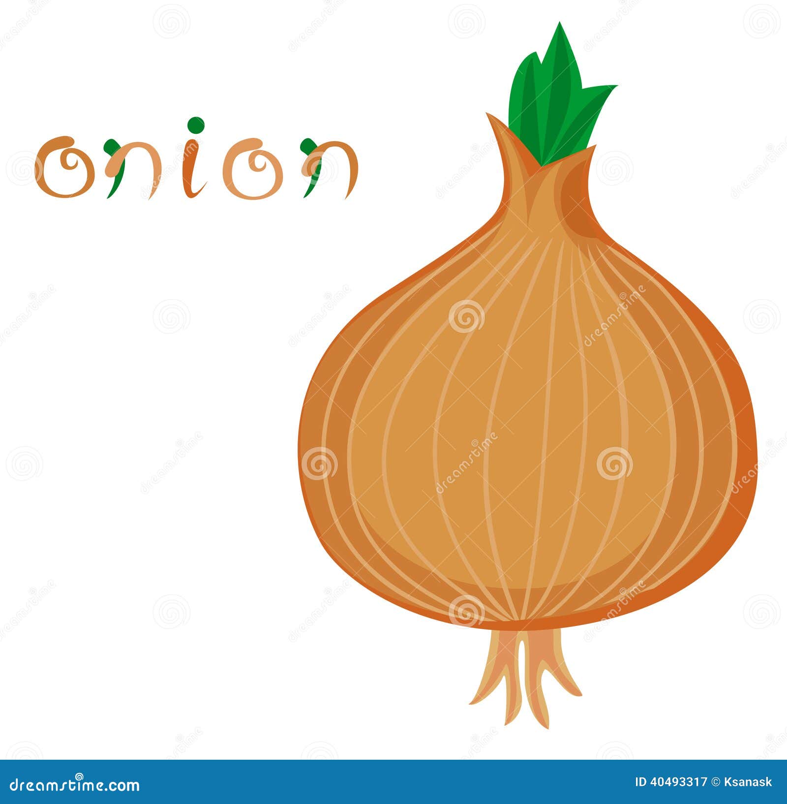 clipart onion - photo #30