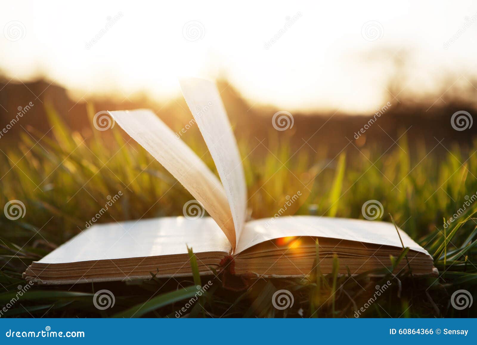 sunlight on the grass revision booklet Sunlight on the grass – short stories key terminology poetry quick revision revision outline for the character and voice section of the moon on the tides. sunlight on the grass revision booklet Sunlight on the grass – short stories key terminology poetry quick revision revision outline for the character and voice section of the moon on the tides.