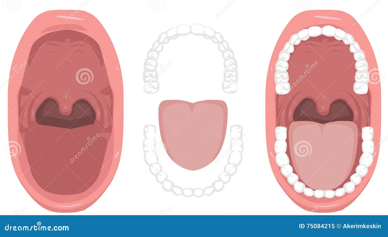 Is This Viral Photo Showing A Normal Uterus And A Menstruating Uterus Legit Is This Viral Photo Showing A Normal Uterus And A Menstruating Uterus Legit