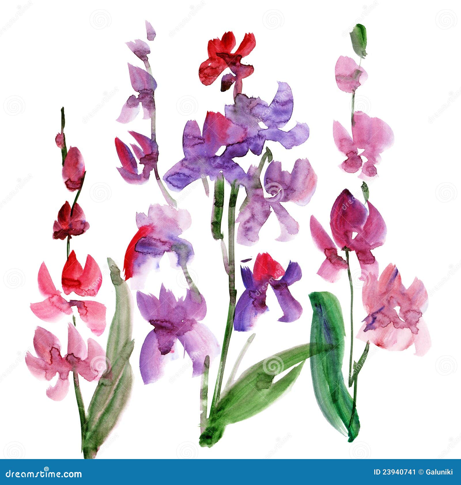 tumblr aesthetic drawings Flower  Watercolour Image Orchid Stock Image: 23940741