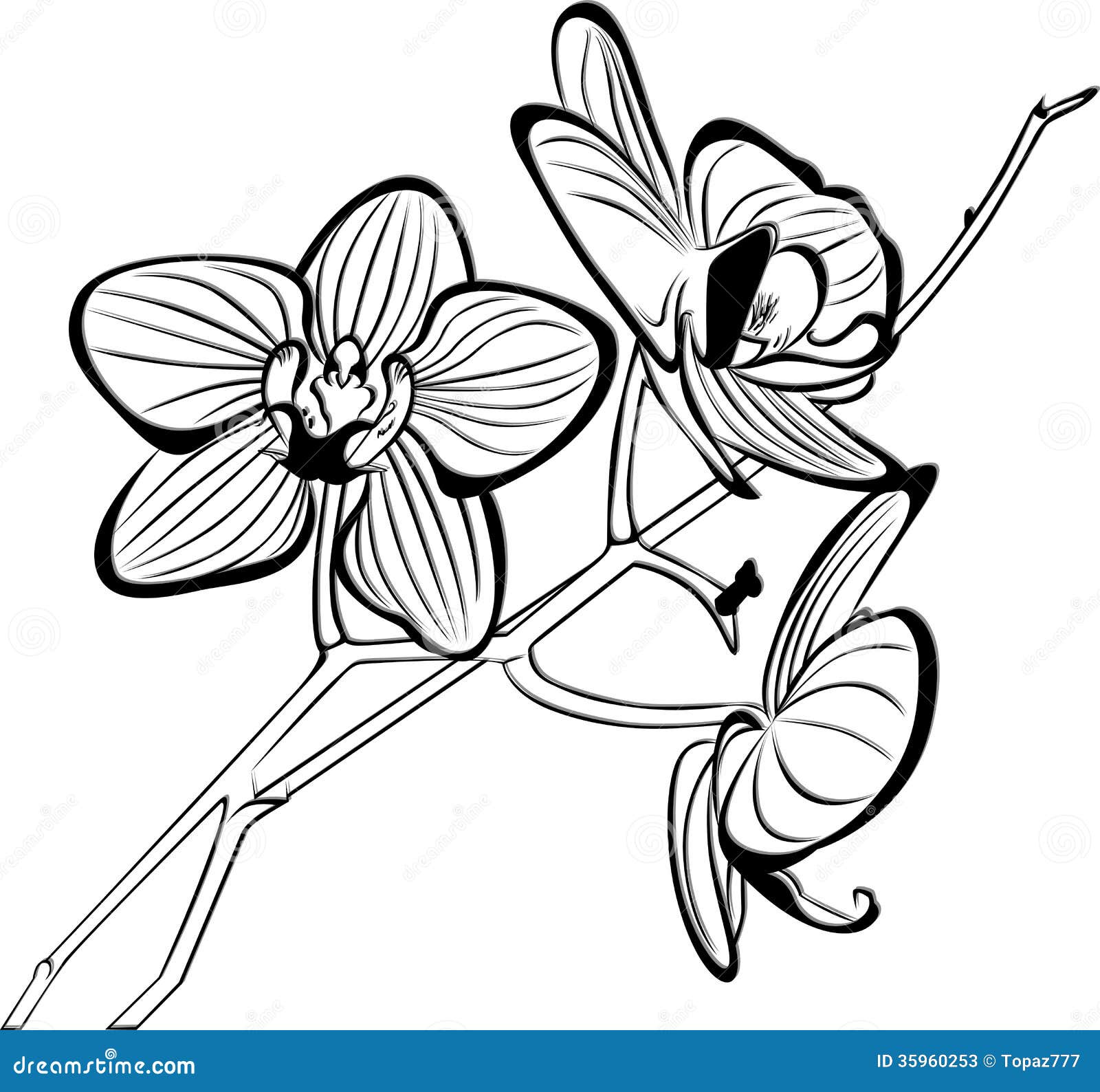 Image for doodle art flora