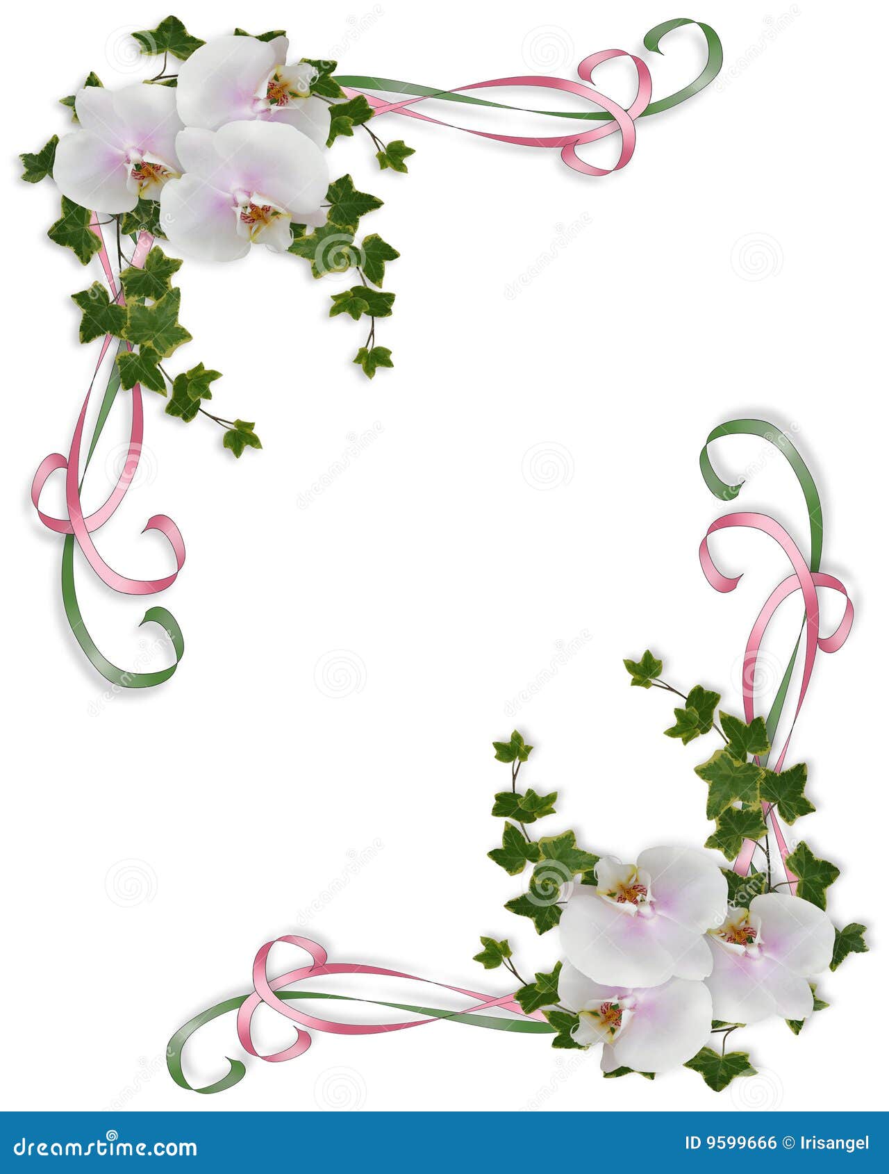 Orchid Clipart Border