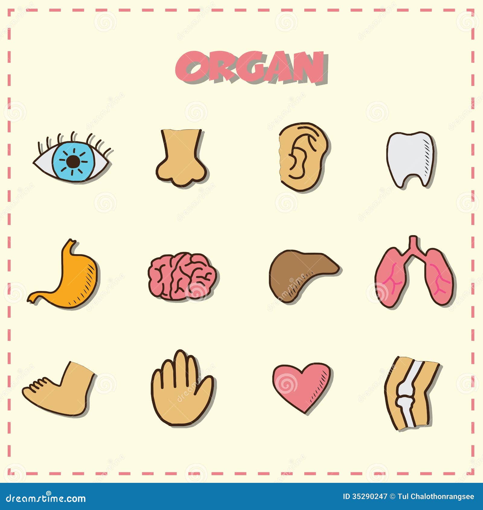 organ donor clipart - photo #36