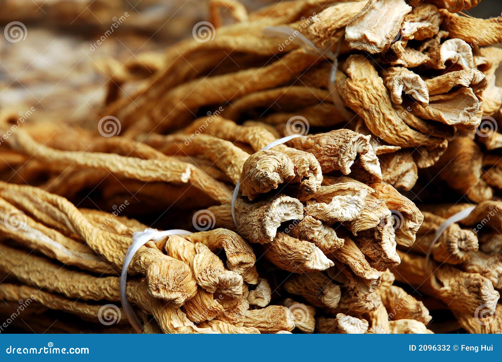 Oriental Medicine Herbs Stock Photography Image 2096332