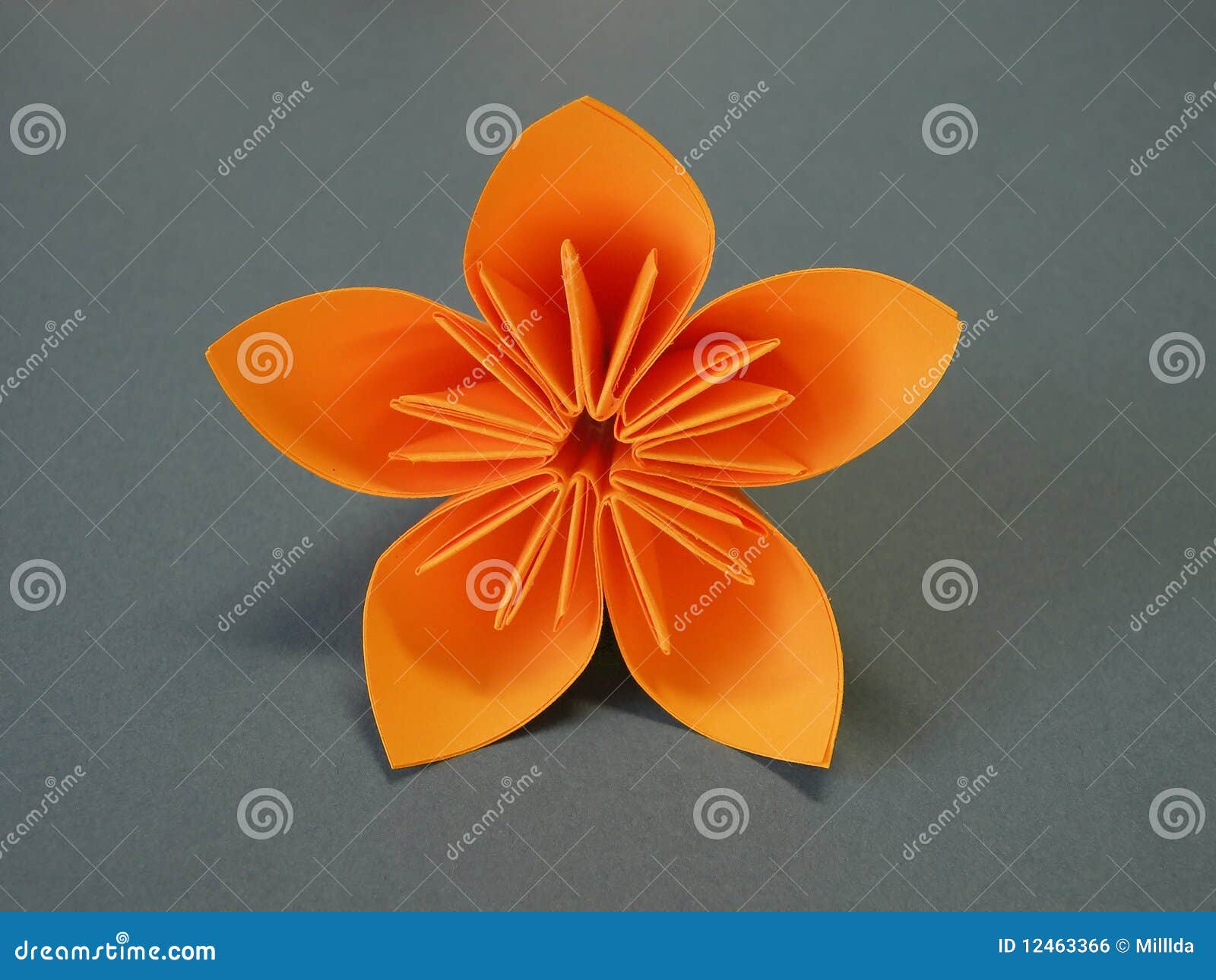 Origami blume Origami blume