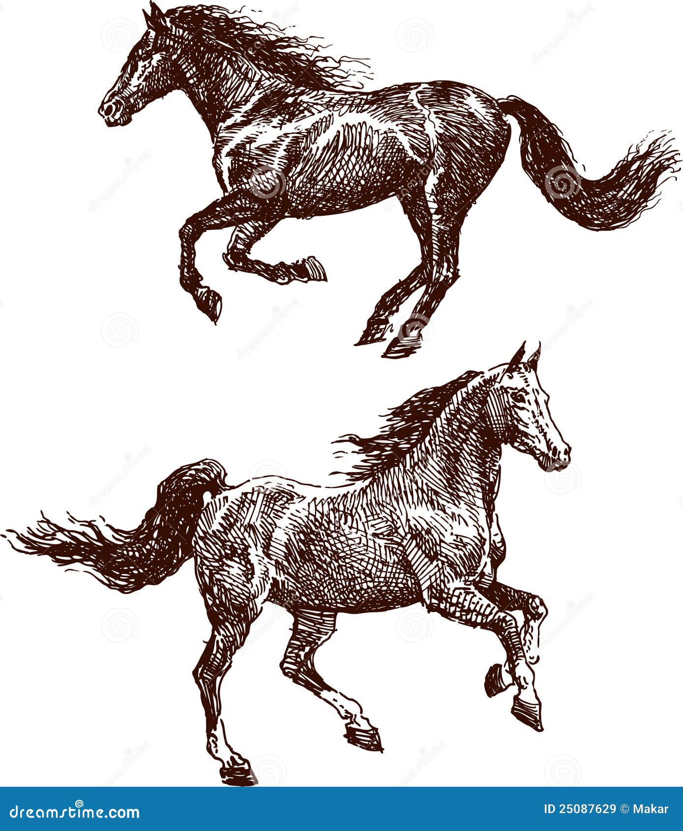 Paarden+Afbeeldingen De vectortekening van een paardenn stijl van een schets.