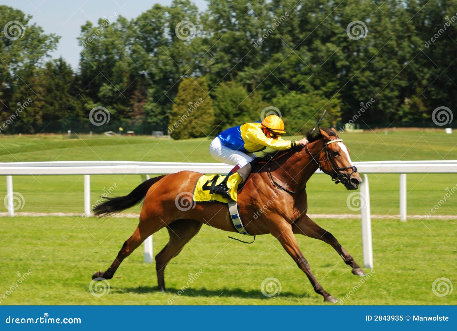 Paardenrennen Paardenrennen