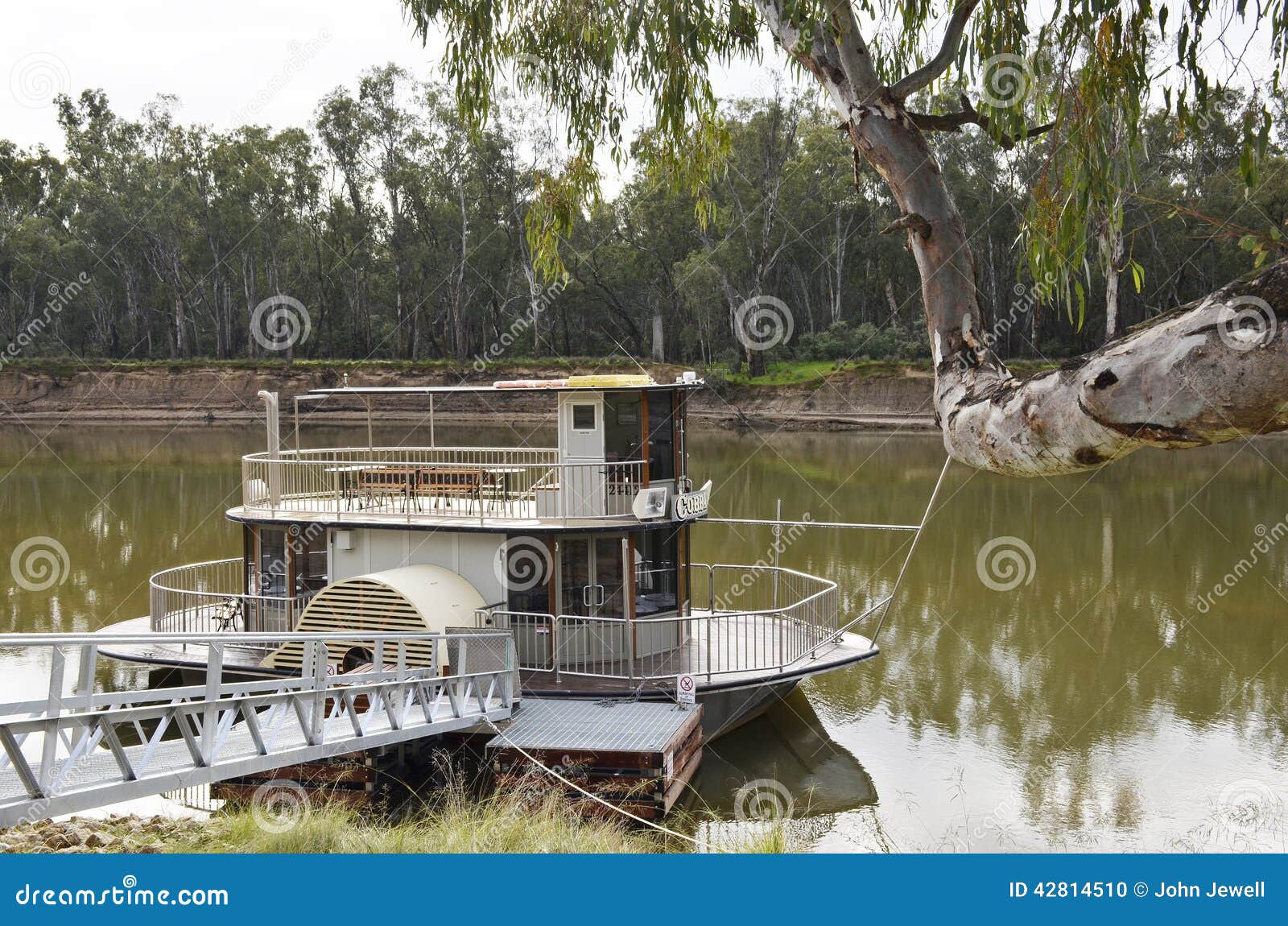 Paddle boat tied up on the Murray River Australia.