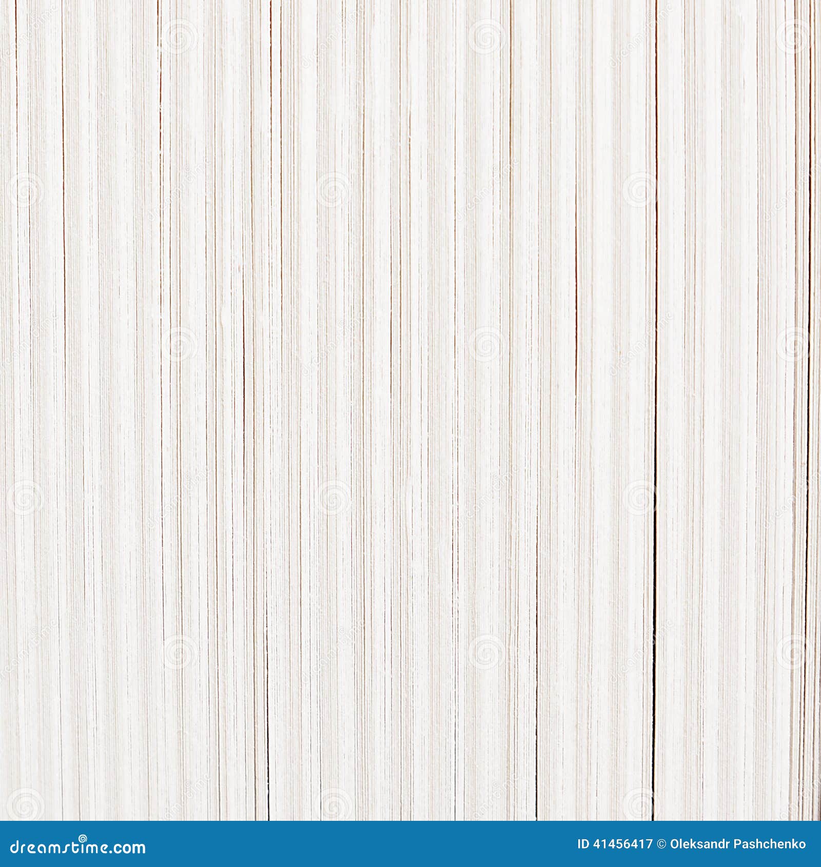 front side of a book page