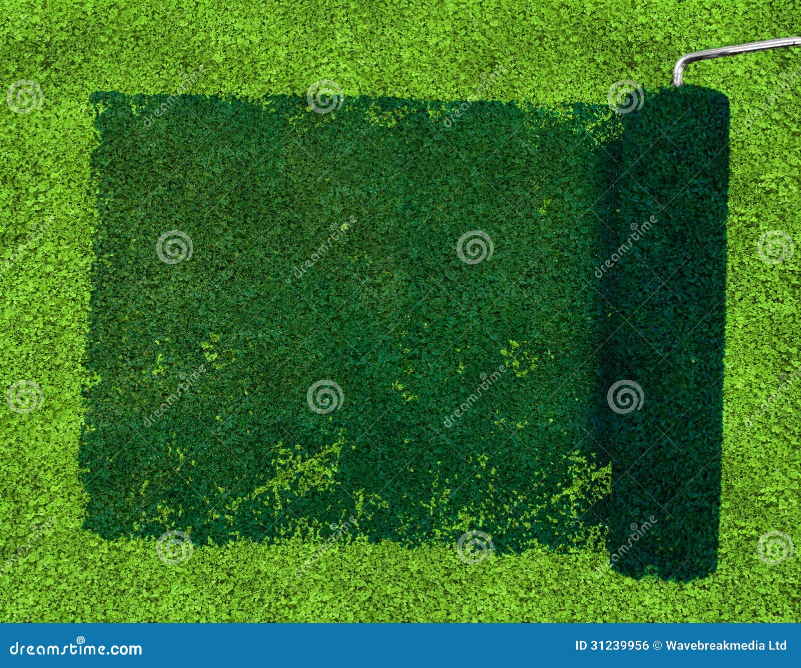 Paint Roller Over Grass Royalty Free Stock Image Image 31239956