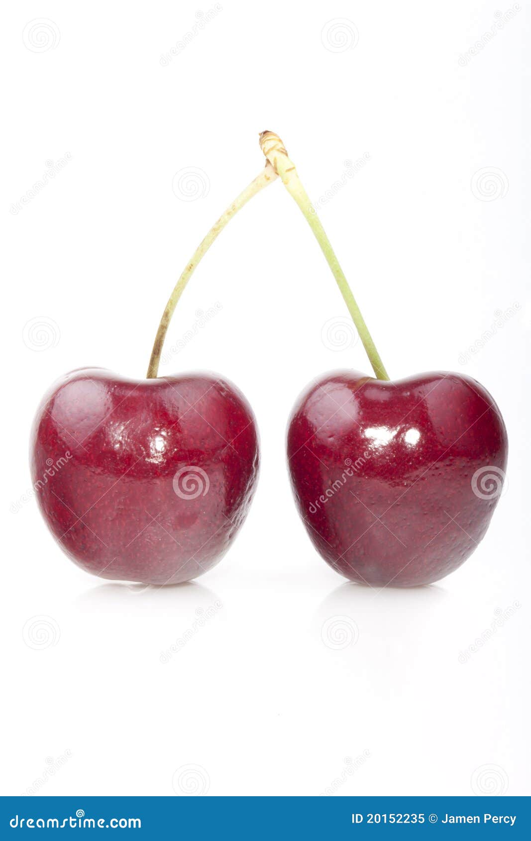 Pair Of Cherries Royalty Free Stock Photo Image 20152235