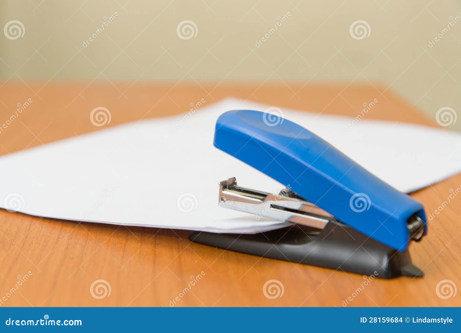 Staples paper stock options