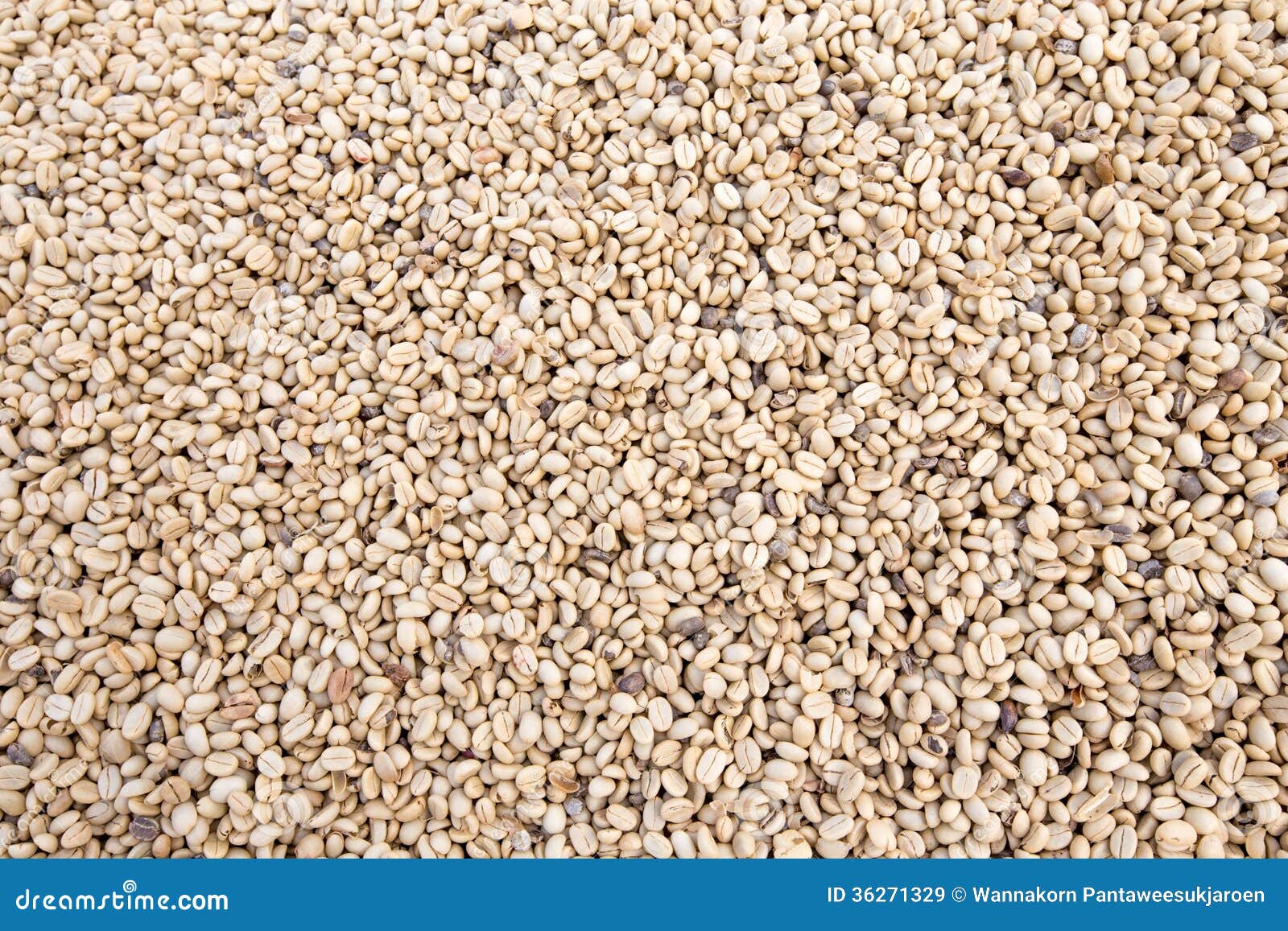 Parchment Coffee Royalty Free Stock Images Image 36271329