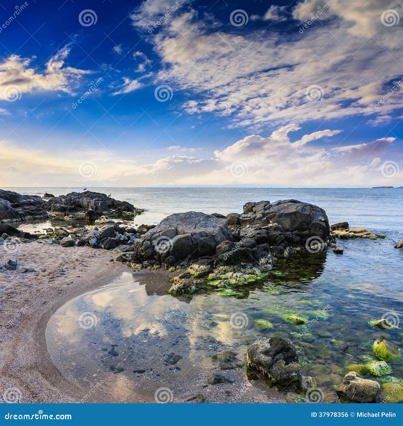 Paysage de bord de mer de matin avec des rochers sable et algue.