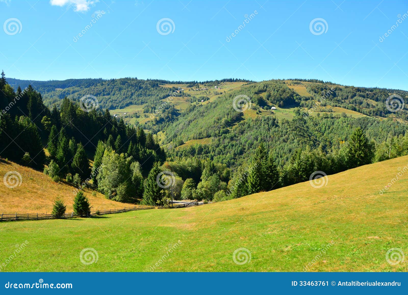 Image stock: Paysage de montagne avec l herbe verte, la forÃªt de ...