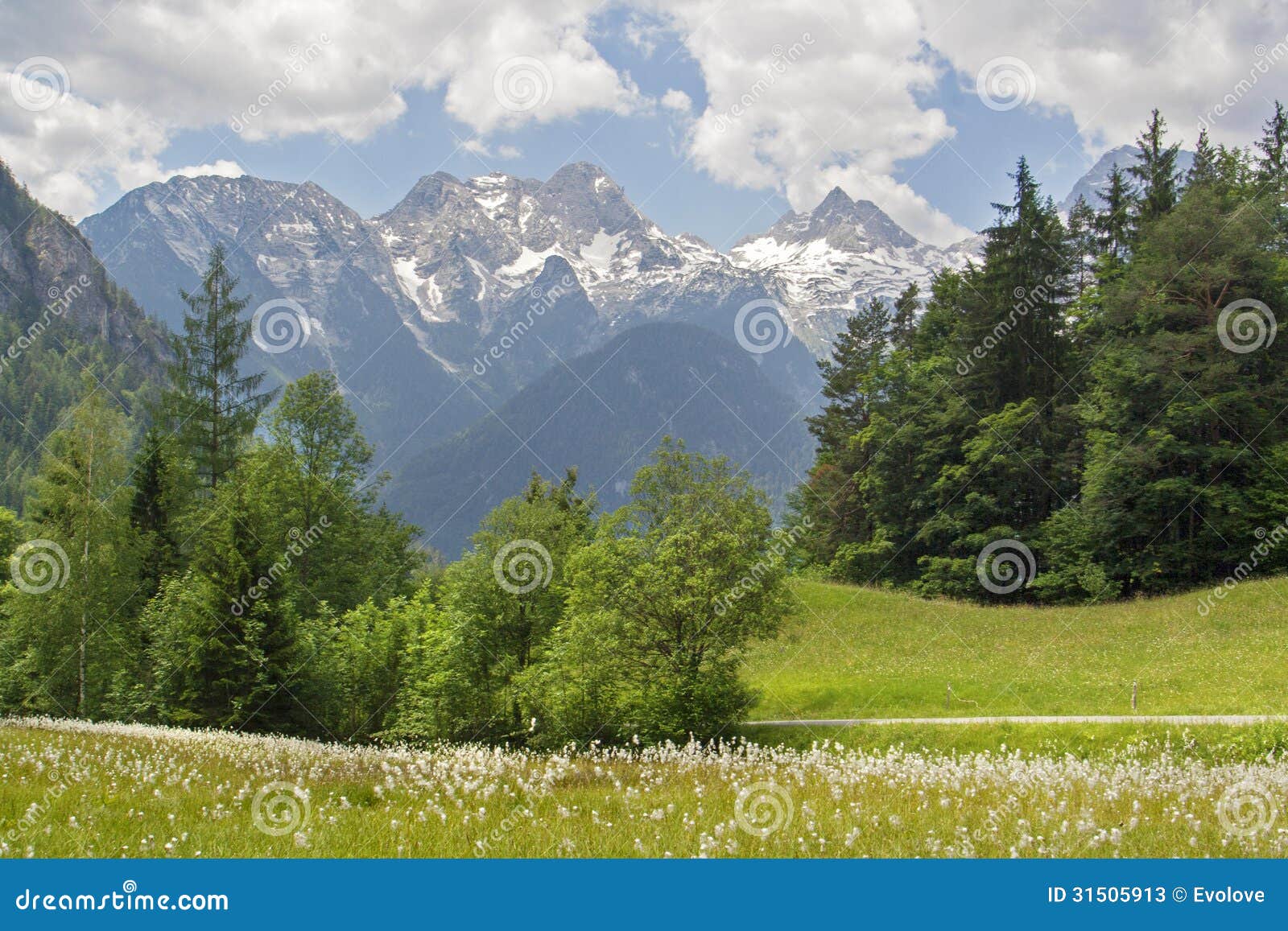 Photos stock: Paysage de montagne d Ã©tÃ© de l Autriche