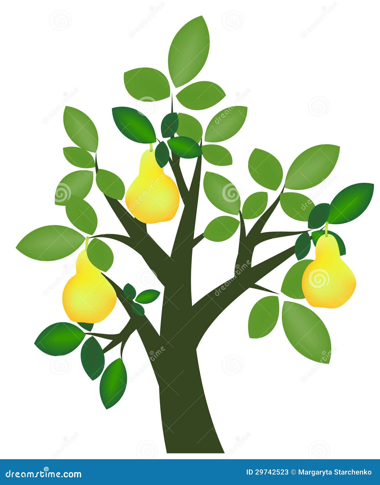 clipart pear tree - photo #26