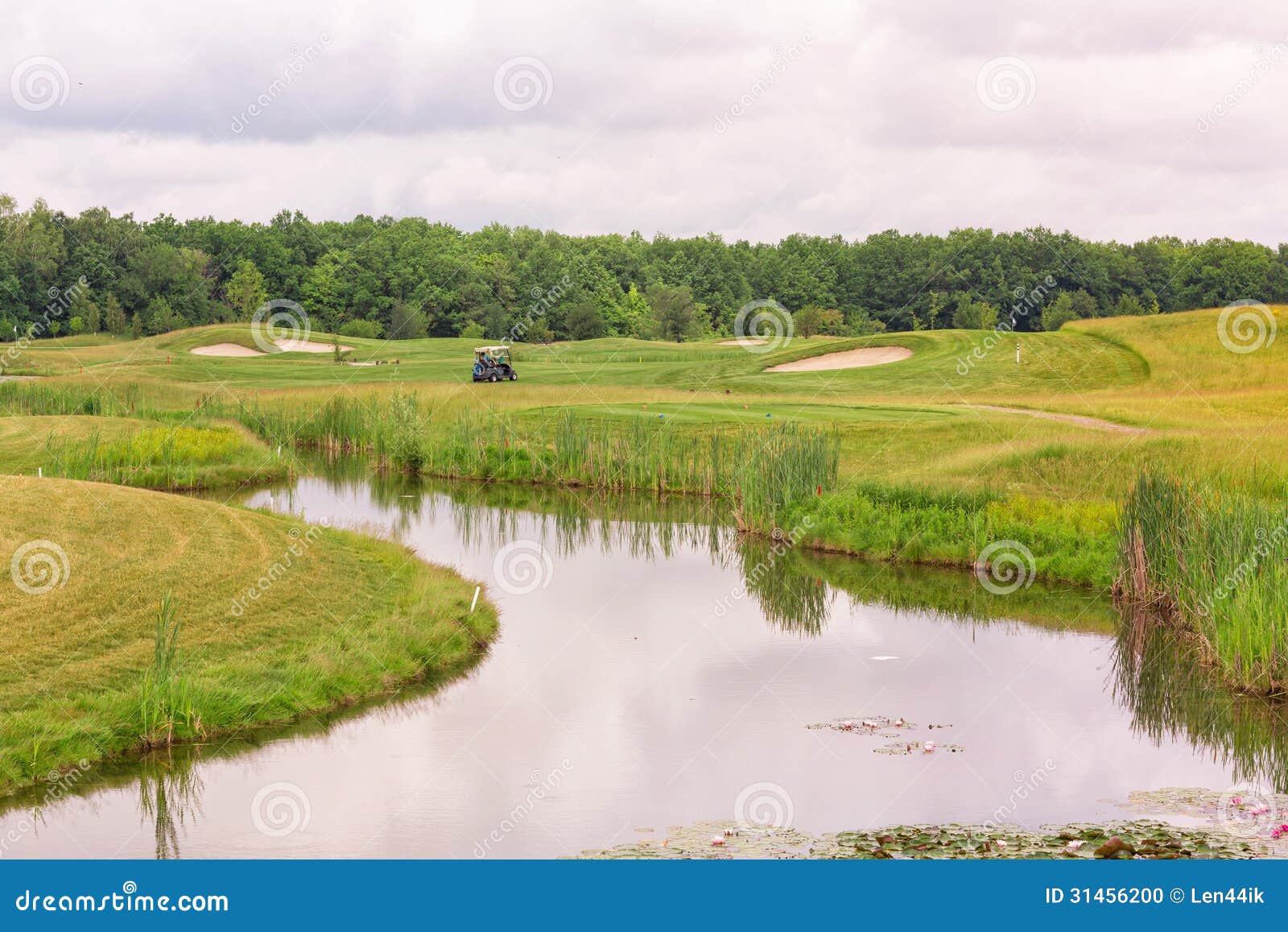 Perfect Wavy Ground With Green Grass On A Golf Field Stock Perfect Wavy Ground With Green Grass On A Golf Field Stock