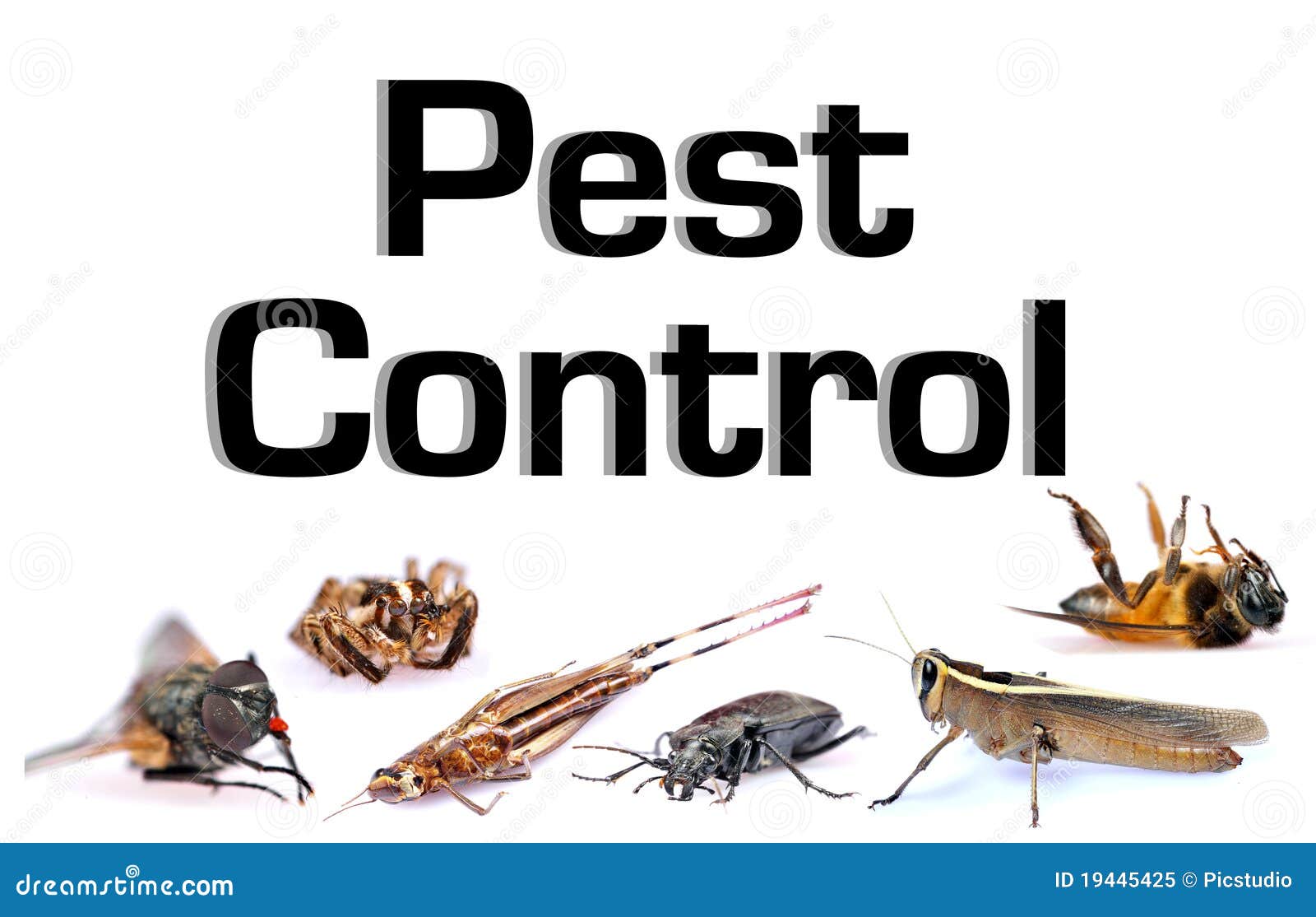 pest-control-19445425.jpg