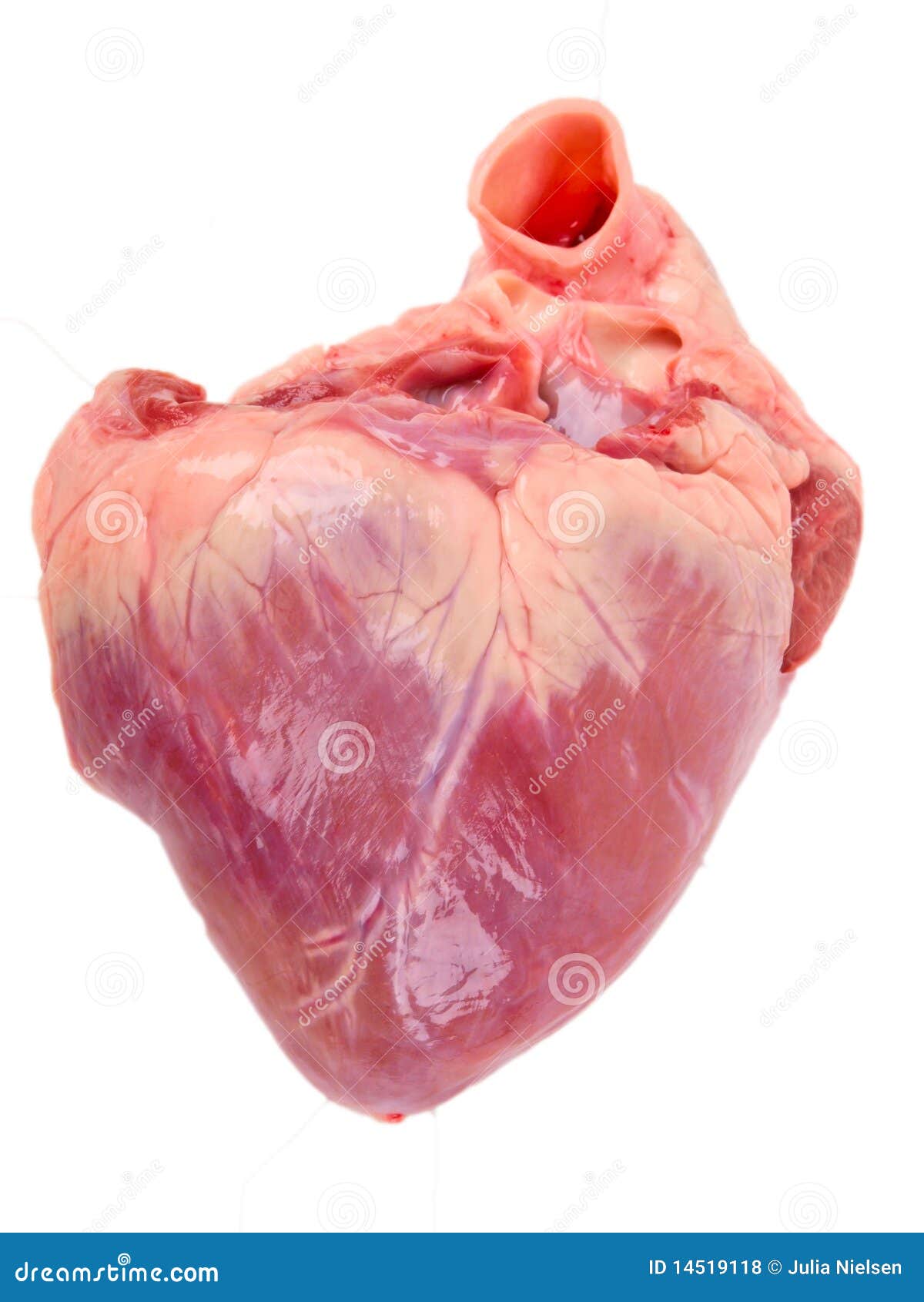 pig heart clipart - photo #40