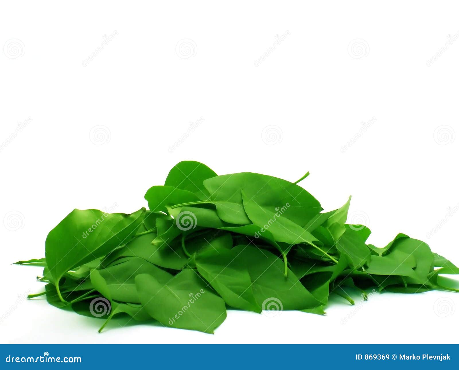 leaf pile clipart - photo #32