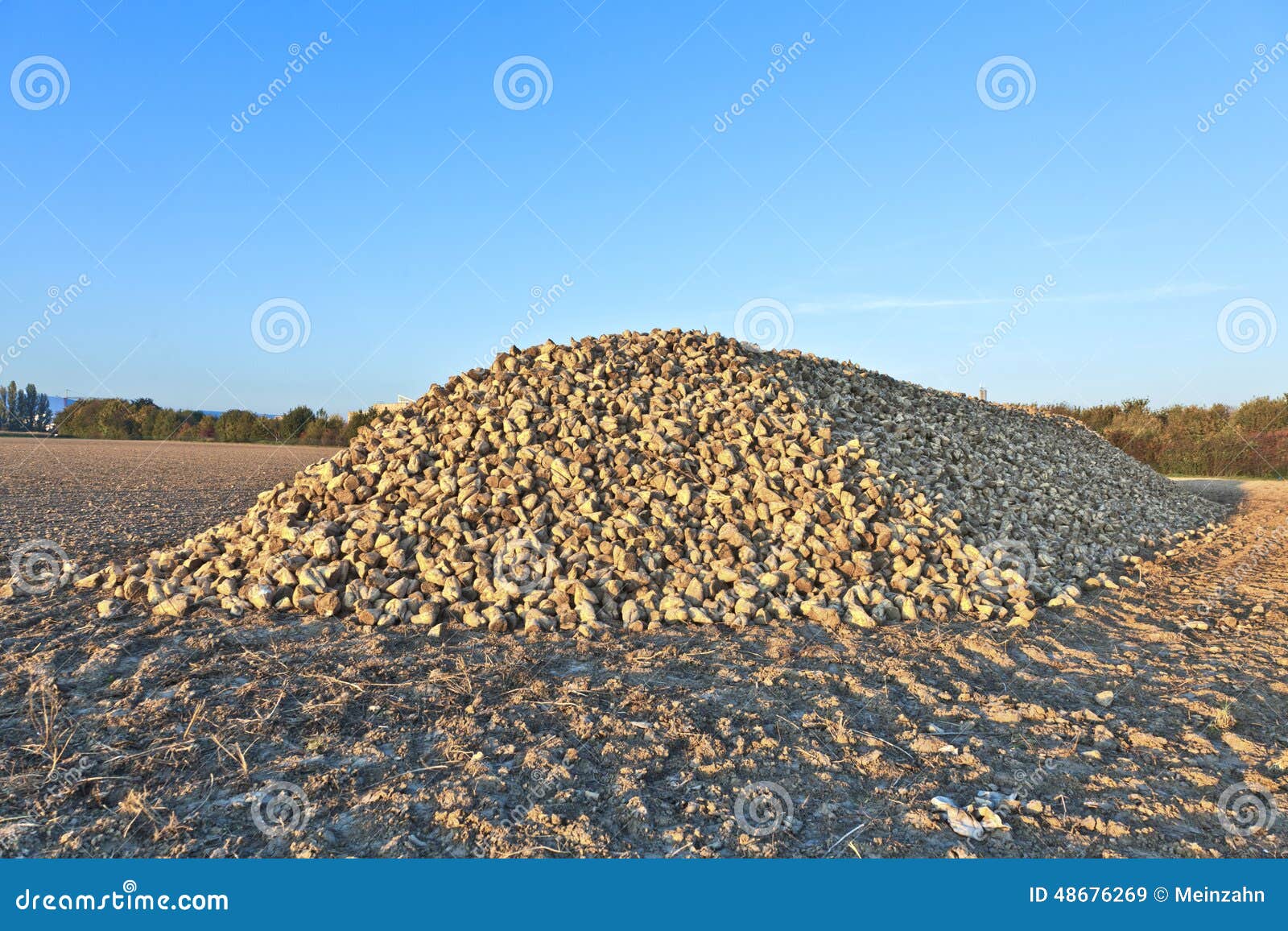 Pile Of Sugar B...