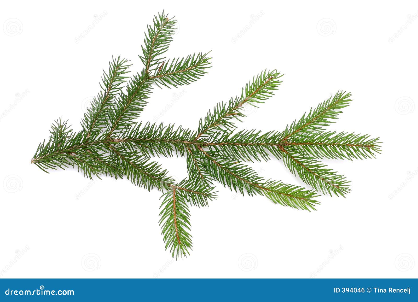Need help with particle system. Pine needles. r/blender