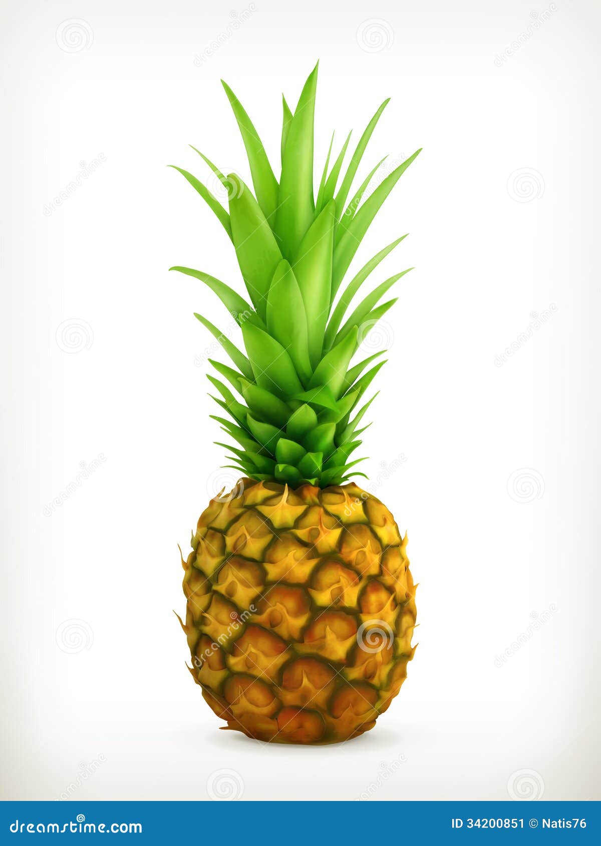 Pineapple Stock Image - Image: 34200851