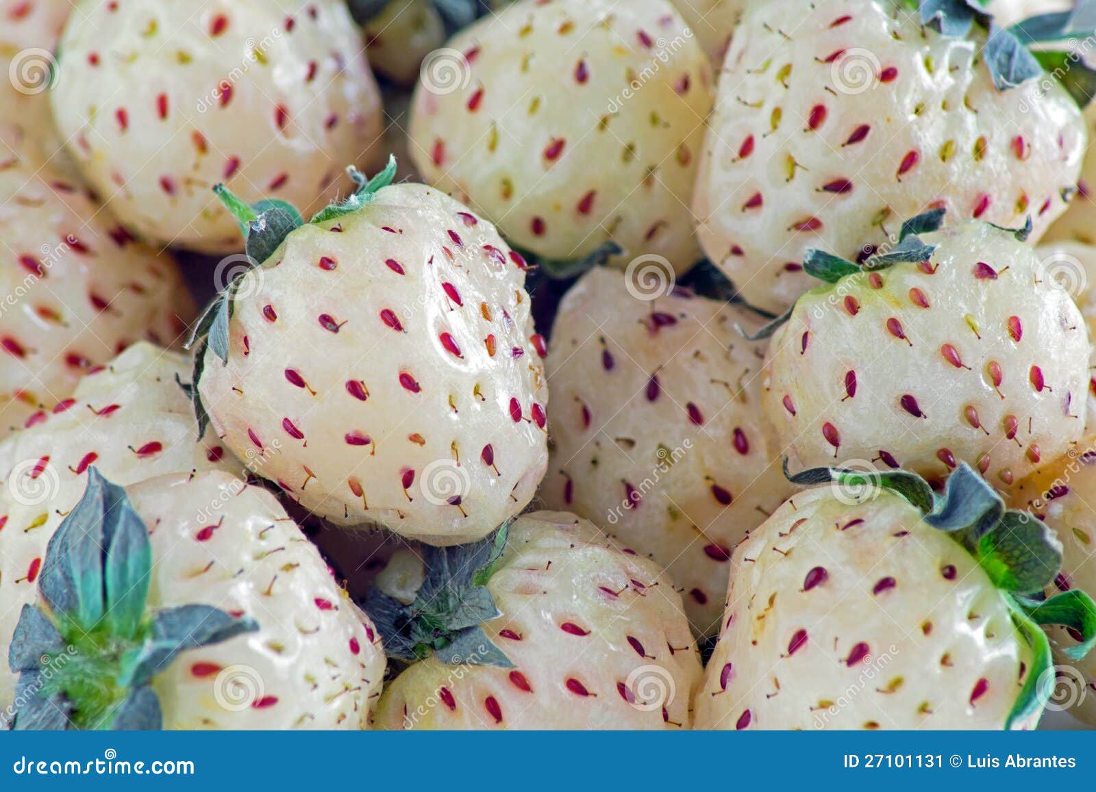 ... strawberries or white strawberries the pineberry is a strawberry