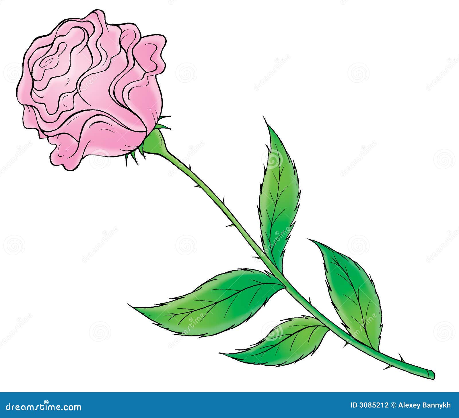 Pink Rose Clip Art