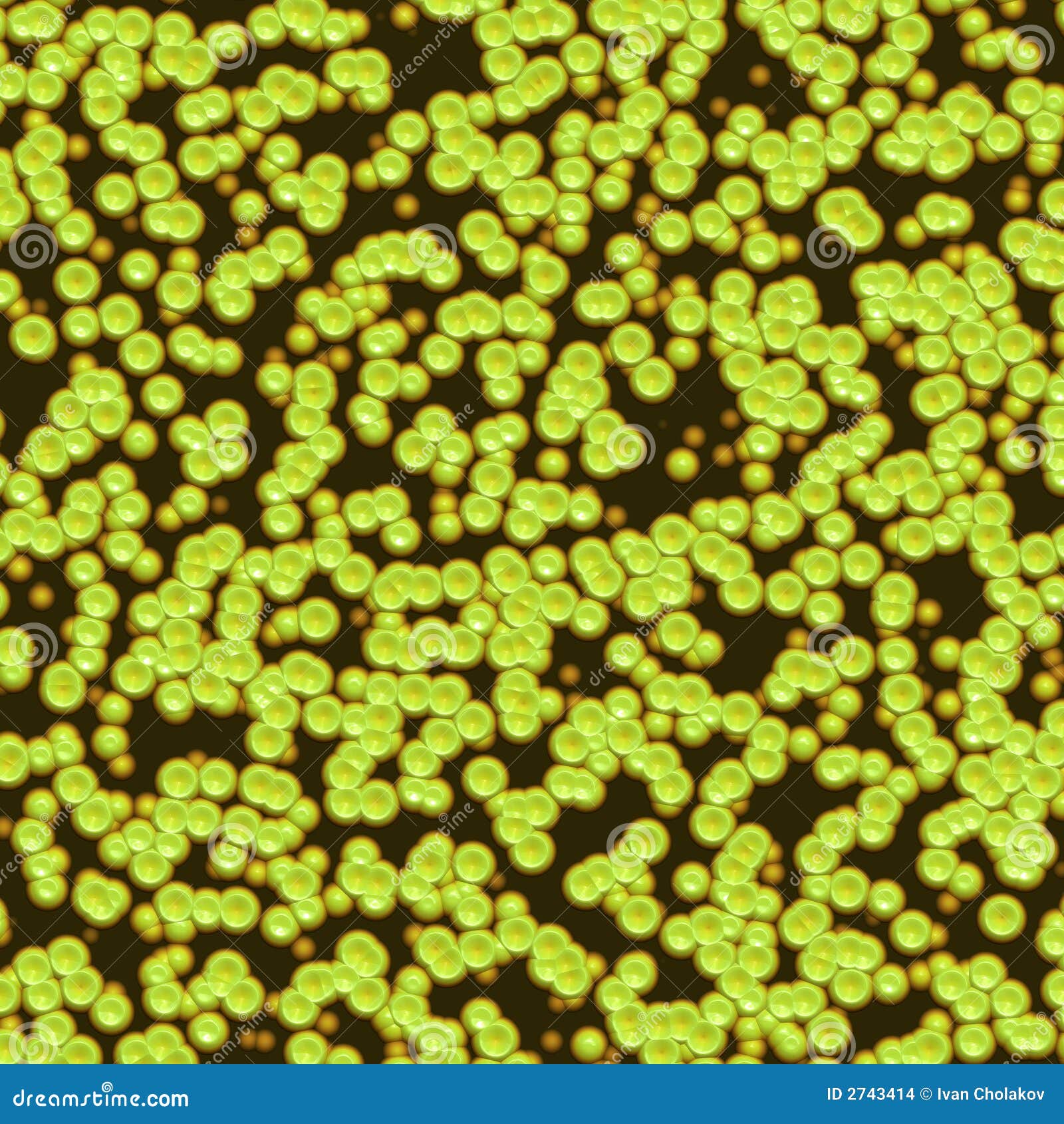 mrsa virus pictures #11