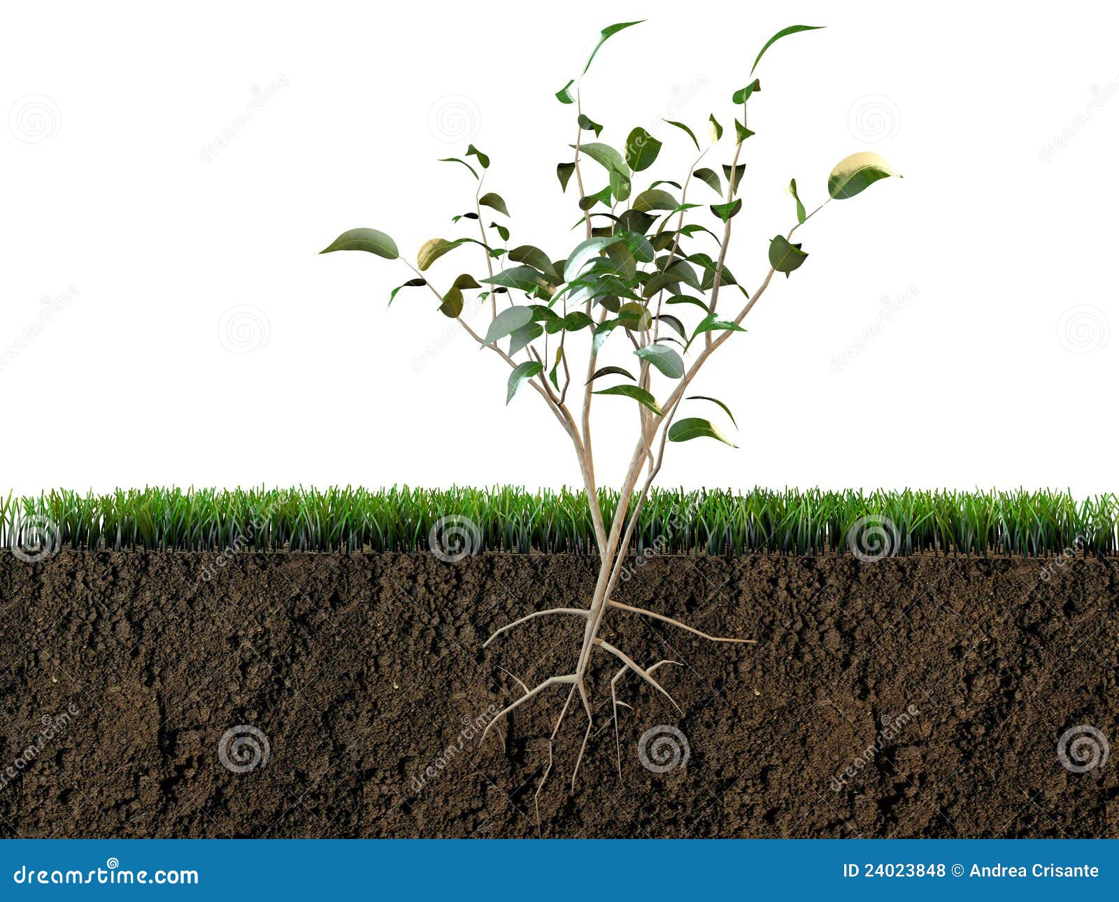 good soil clipart - photo #19