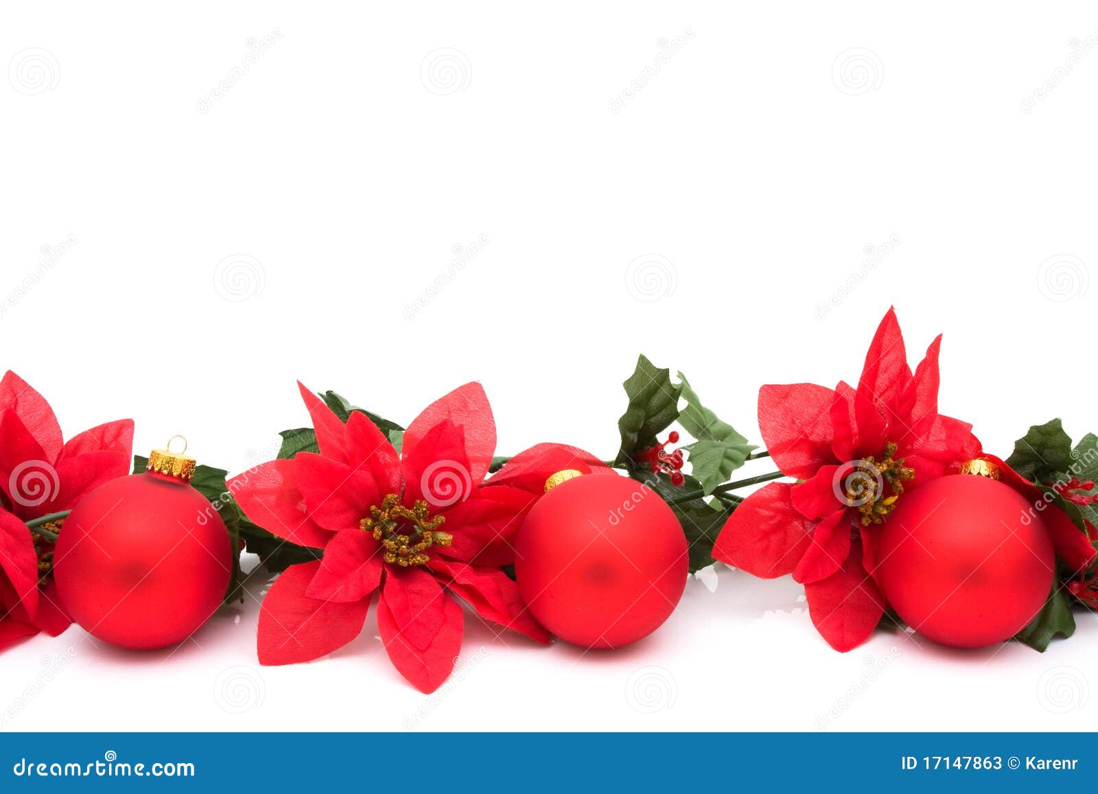 White Poinsettia Flower Borders