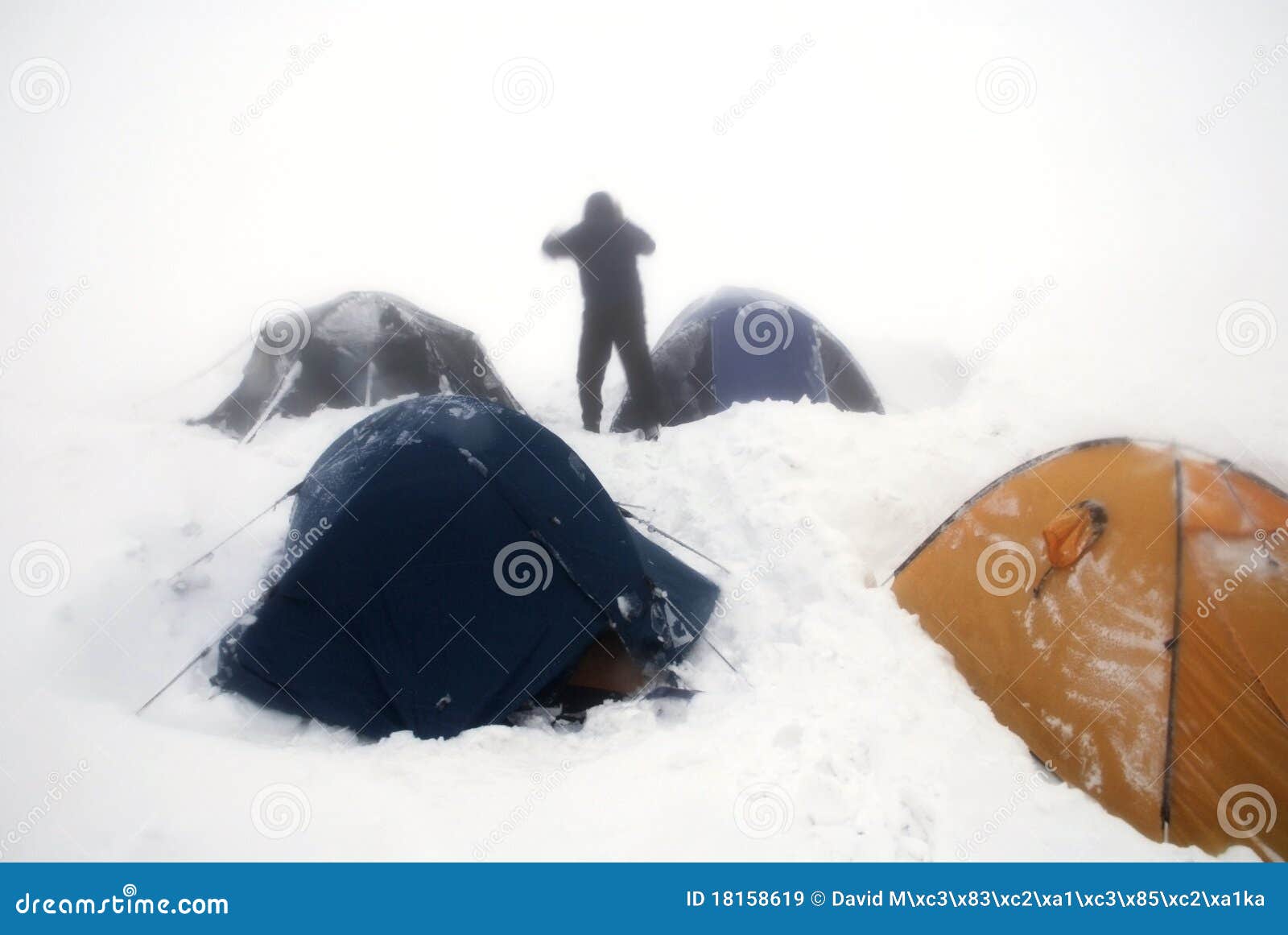 Polar Expedition Attire Nyt Crossword prntbl concejomunicipaldechinu Polar Expedition Attire Nyt Crossword prntbl concejomunicipaldechinu