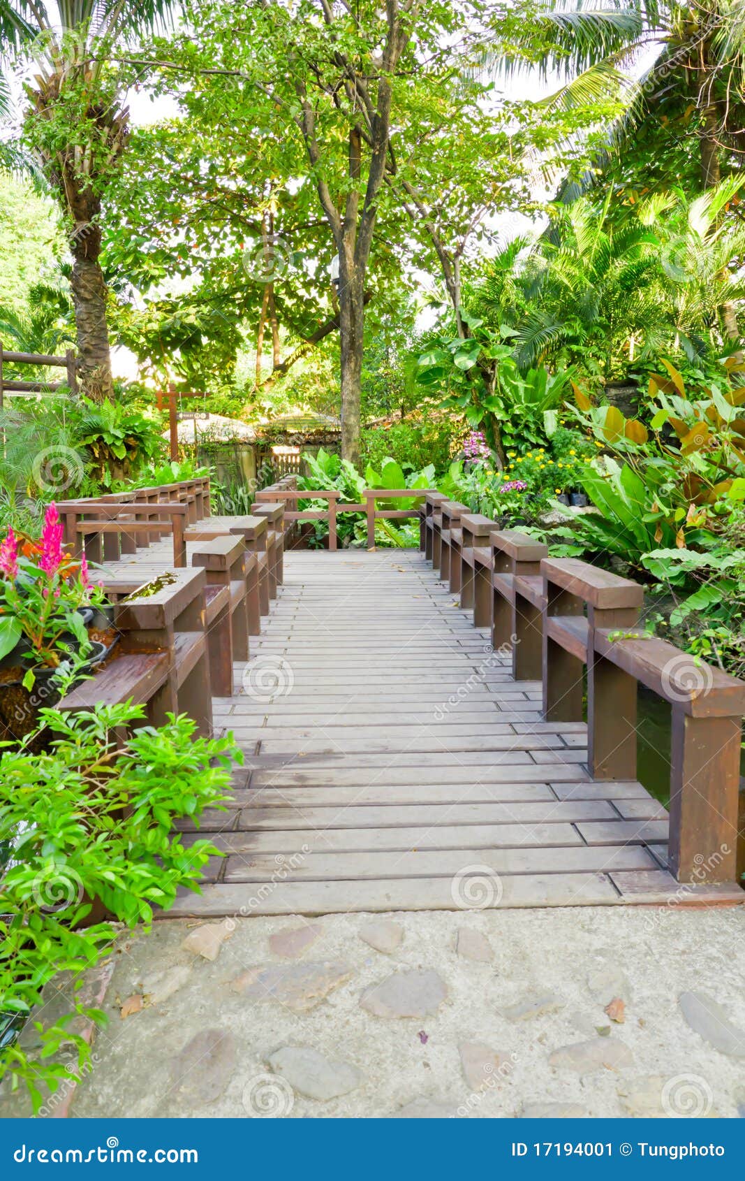 Ponte De Madeira No Jardim Imagem de Stock Imagem 17194001 Ponte De Madeira No Jardim Imagem de Stock Imagem 17194001