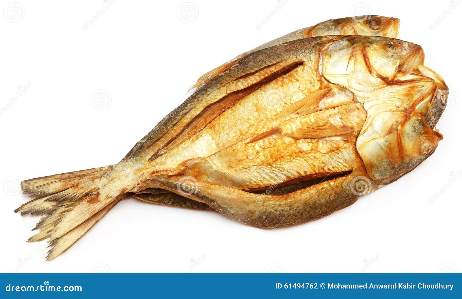 clipart dried fish - photo #3