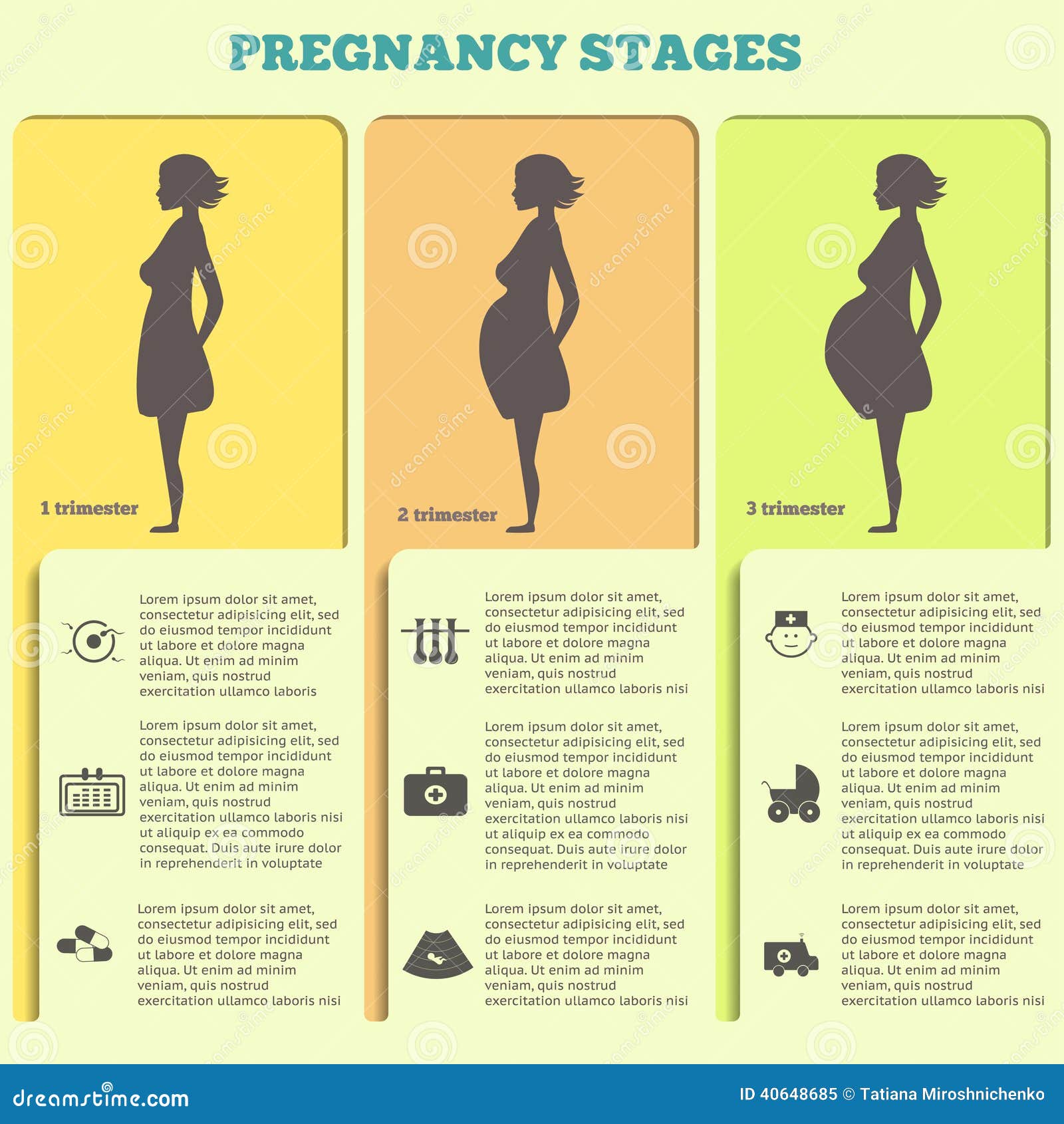 Pregnancy And Birth Infographics, Pregnancy Stages Stock ...