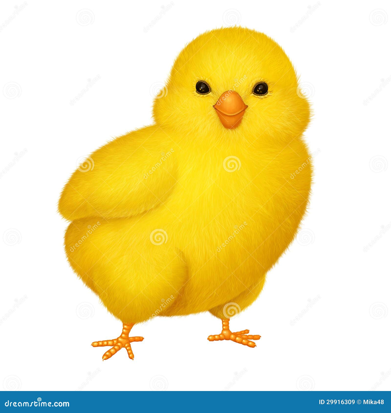 yellow chicken clip art - photo #14