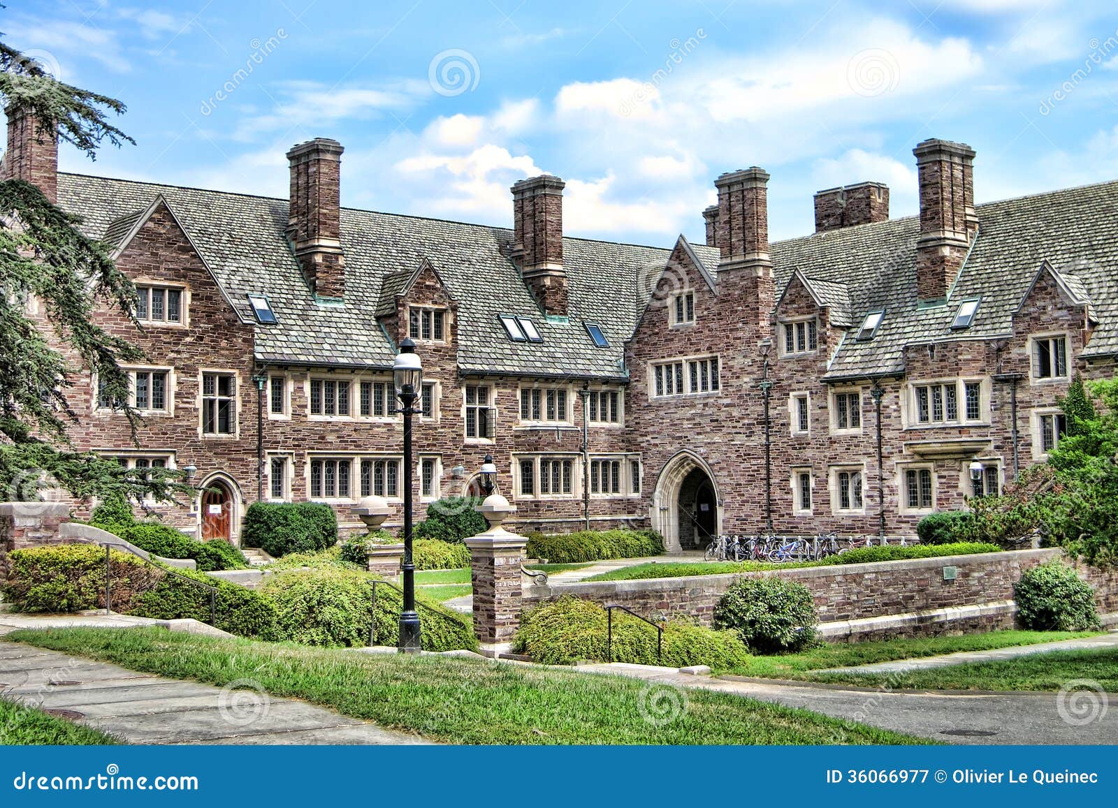 Princeton University Campus Students