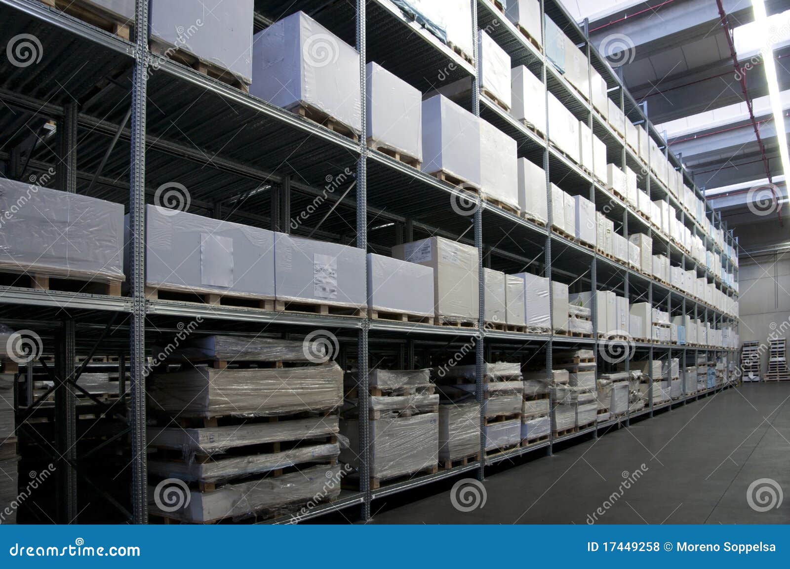 Essay warehouse