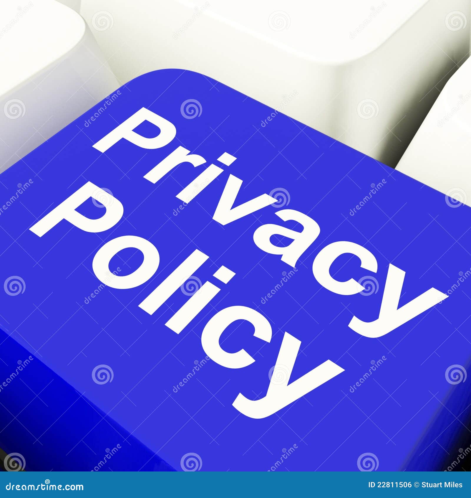 Privacy Policy