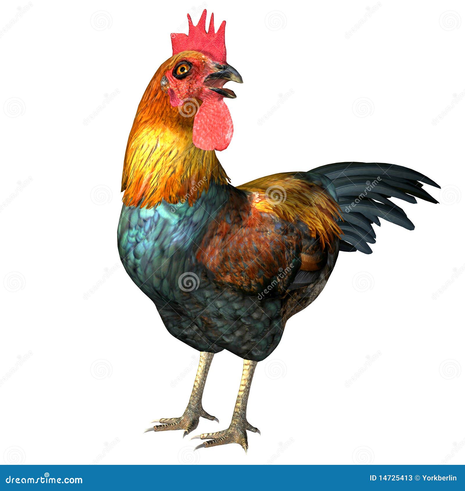 Cock Image 93