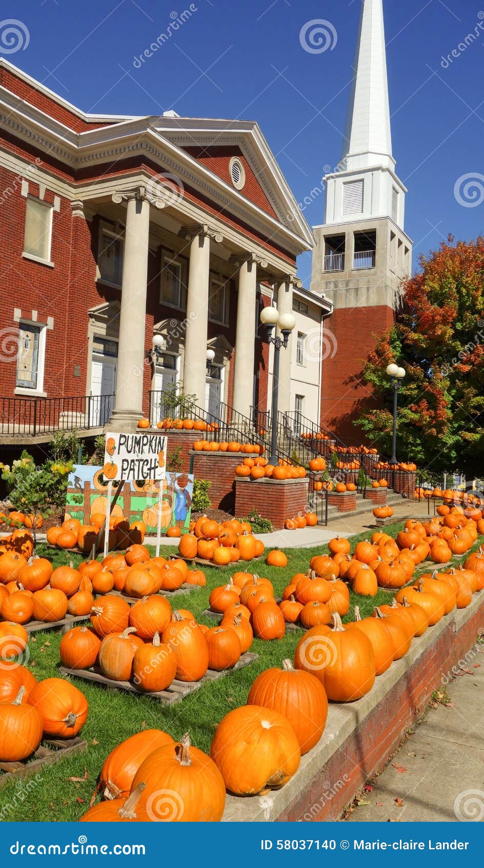 Sunnyside Gardens Pumpkin Patch Saratoga Ny